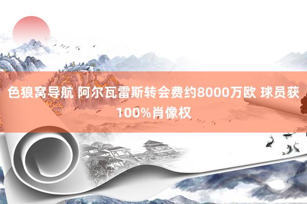 色狼窝导航 阿尔瓦雷斯转会费约8000万欧 球员获100%肖像权